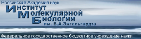 Учреждение РАН Институт молекулярной биологии им. В.А.Энгельгардта РАН