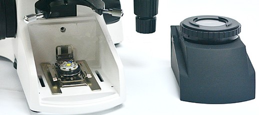 Microscope BiOptic B-300