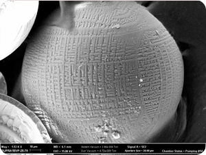 Hollow Corundum Microspheres (HCM)