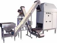 Automatic line for frying and salting seeds